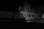 09-20100311-420204365-_MG_5710.jpg