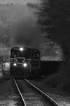 20090317-_MG_0156-nn.jpg
