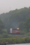 20090612-_MG_8525.jpg
